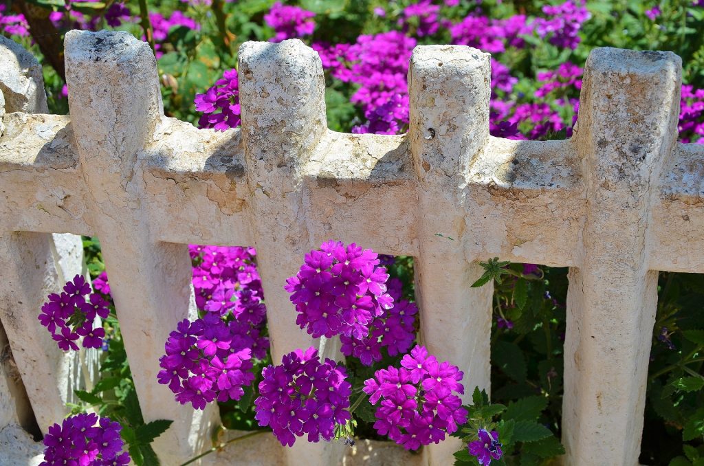 Soda Bottle Elevated Planters