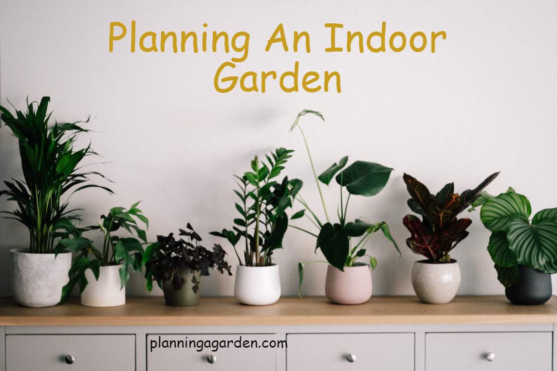 Planning An Indoor Garden