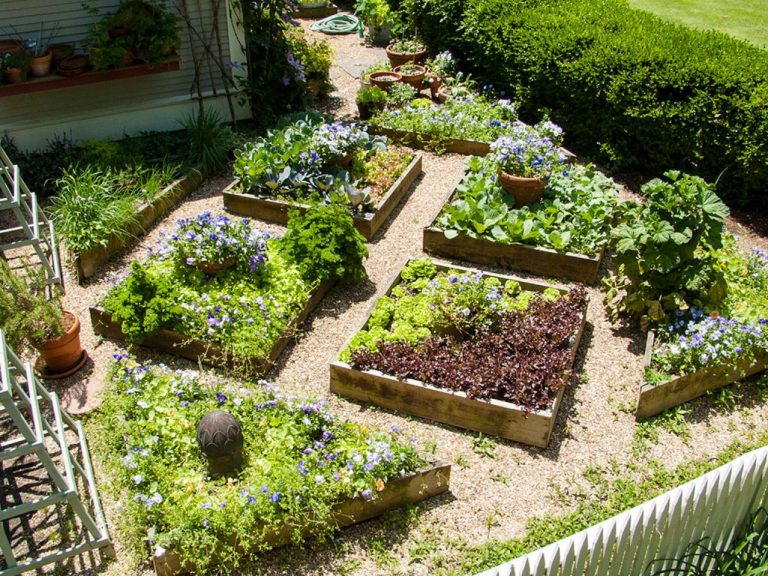 Vegetable Garden Plans