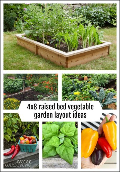 How to Choose the Best Vegetable Garden Layout