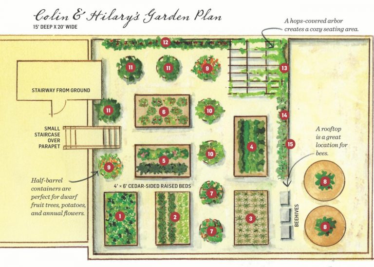 How to Create a Garden Plan Without a Map
