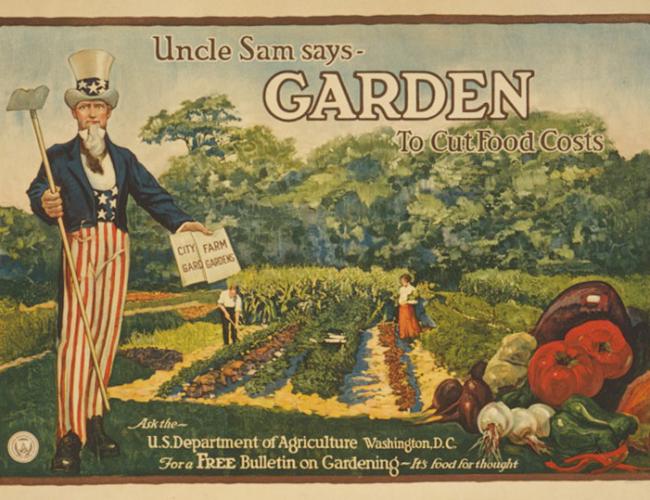 Vegetable Garden Planning