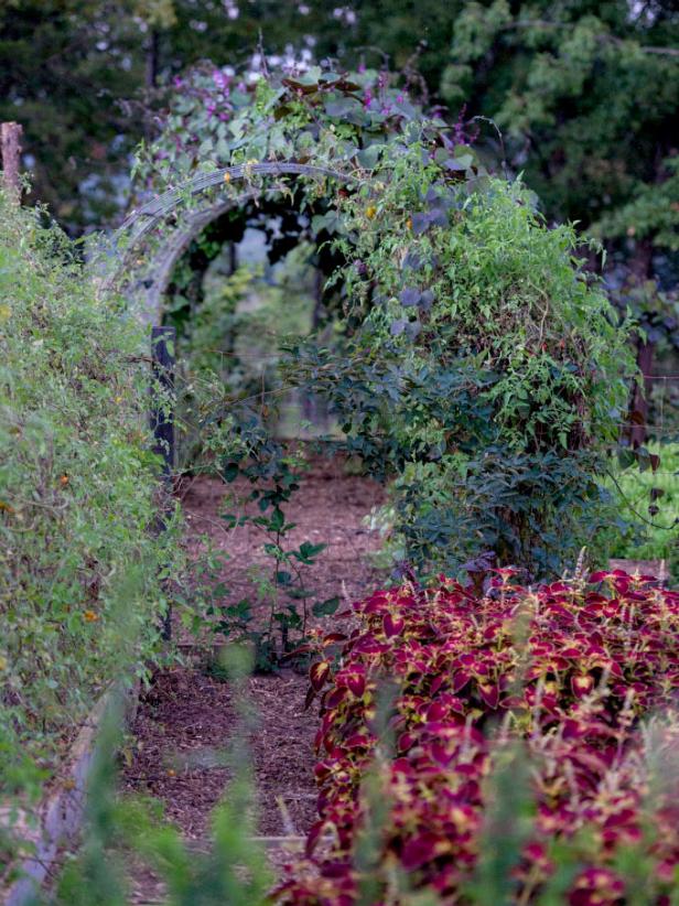 Edible Landscaping Ideas