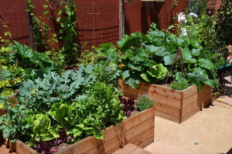 Vegetable Landscaping Tips