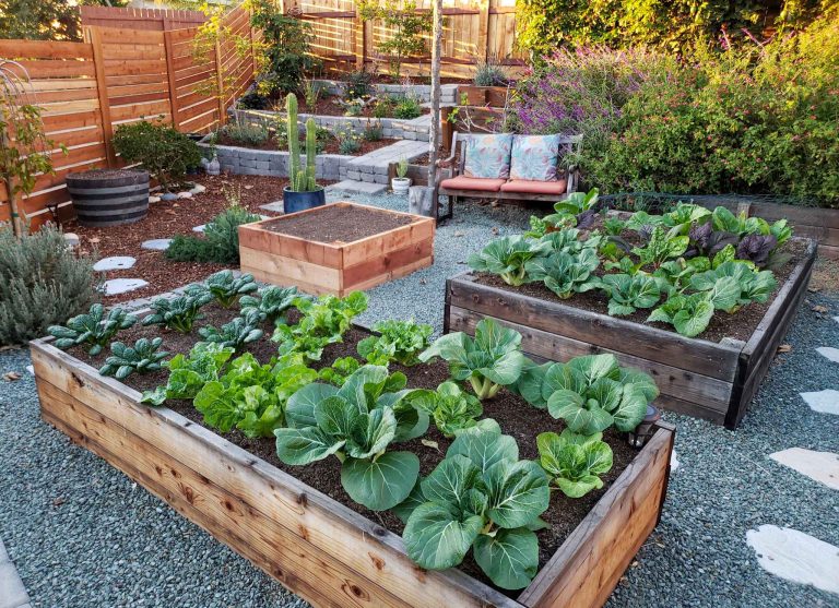 What Are the Best Containers For Edible Gardening?