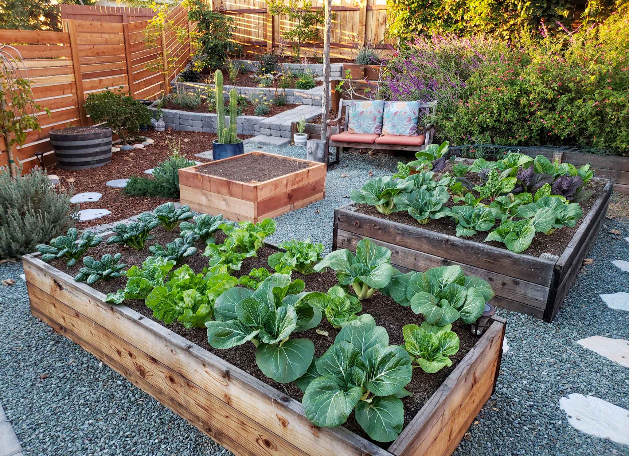 What Are the Best Containers For Edible Gardening?