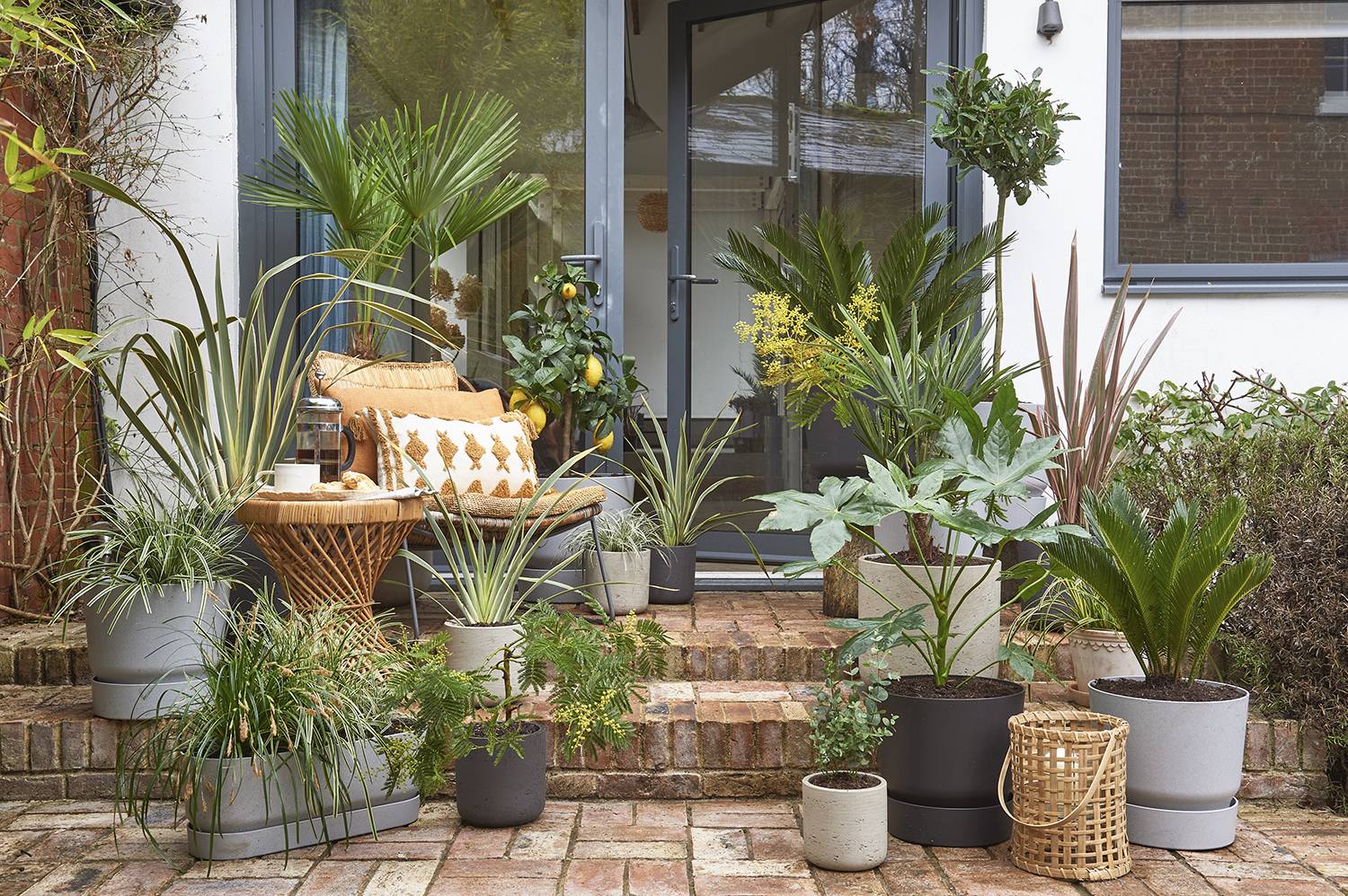 Create Your Balcony Garden on a Budget