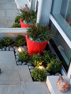 Upgrading Your Balcony Garden