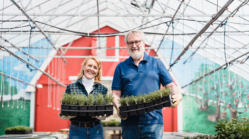 Creating an Optimal Growing Environment for Hydroponics