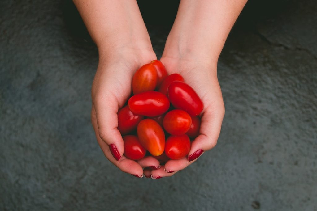 Fertilizing Tomatoes