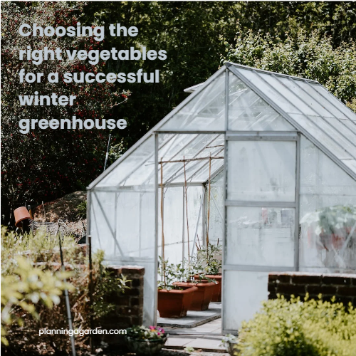 Choosing the right vegetables for a successful winter greenhouse